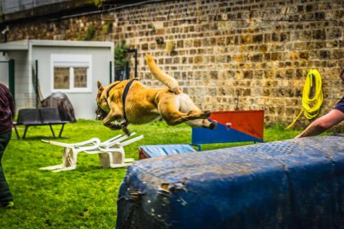 Stagepatrol6-small-30052018-