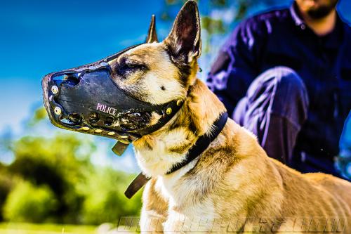 Stagepatrol7-small-02052018-