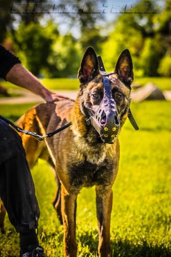 Stagepatrol8-small-02052018-