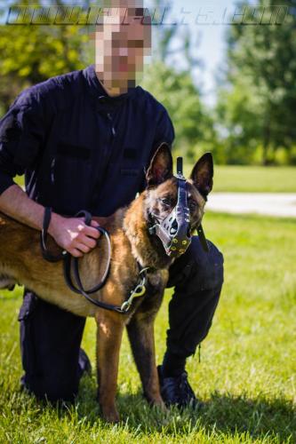 Stagepatrol9-small-02052018-