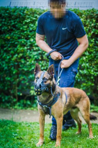 Stagepatrol9-small-30052018-