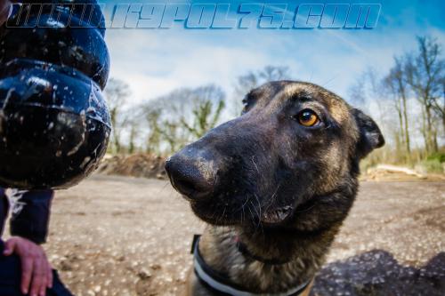 Tairon1-Small-06032018-