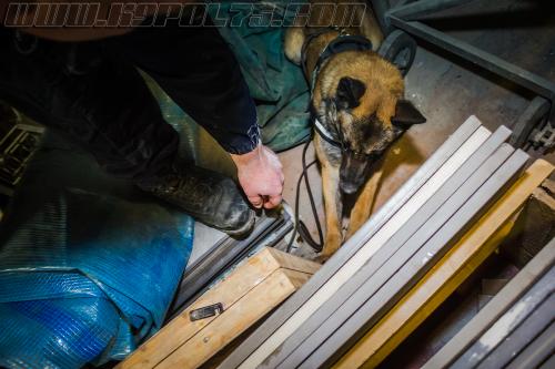 Tairon11-small-14032018-