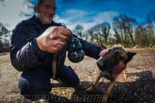 Tairon4-Small-06032018-