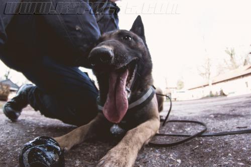 Tairon5-Small-06032018-