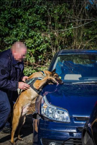 Tairon7-small-14032018-