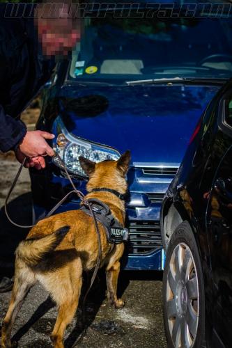 Tairon8-small-14032018-