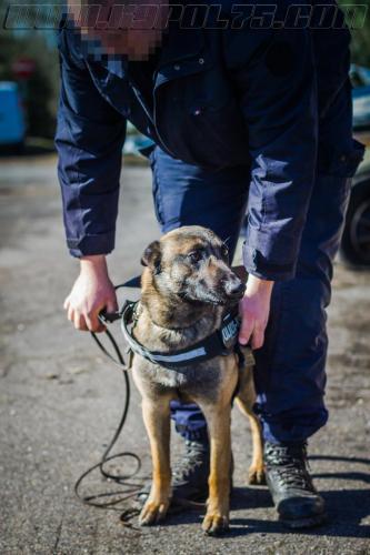 Tairon9-small-14032018-