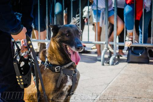 Totoss2-small-05052018-