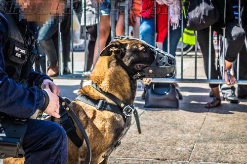 Totoss4-small-05052018-