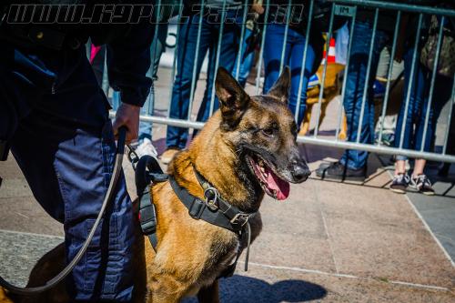 Totoss6-small-05052018-