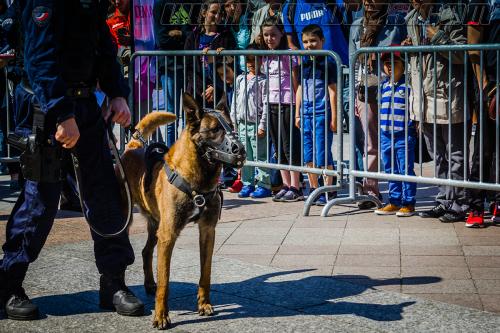 Totoss7-small-05052018-