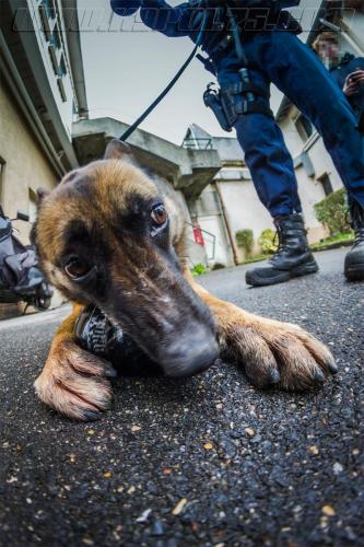 Zoe1-small-10032018-