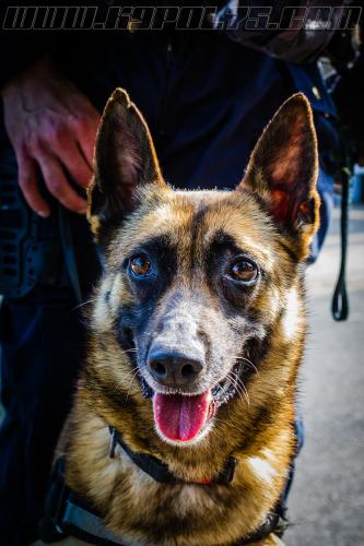 Zoe1-small-17052018-