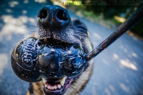 Zoe1-small-28062018-