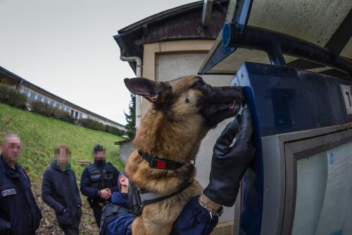 Zoe2-small-10032018-