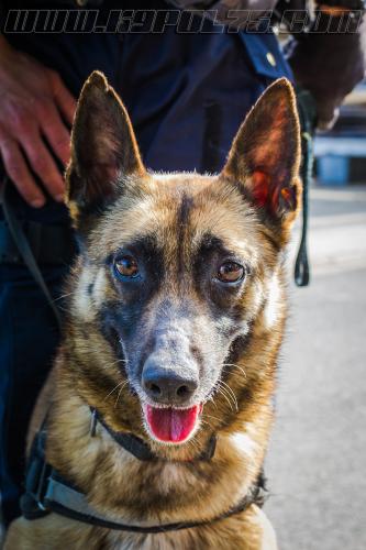 Zoe2-small-17052018-