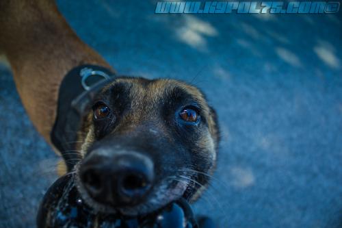 Zoe2-small-28062018-