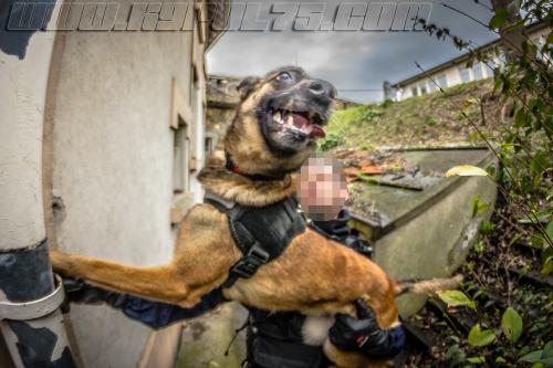 Zoe3-small-10032018-