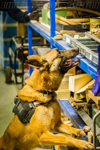 Zoe3-small-17052018-