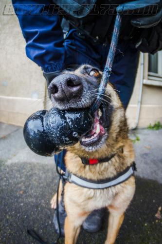 Zoe4-small-10032018-