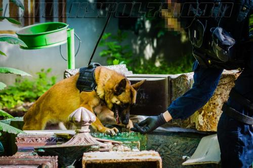 Zoe4-small-17052018-