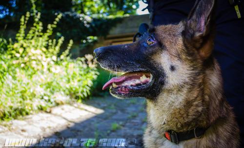 Zoe4-small-28062018-