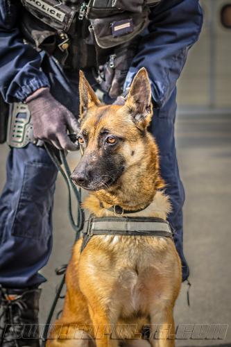 Zoe5-small-17052018-