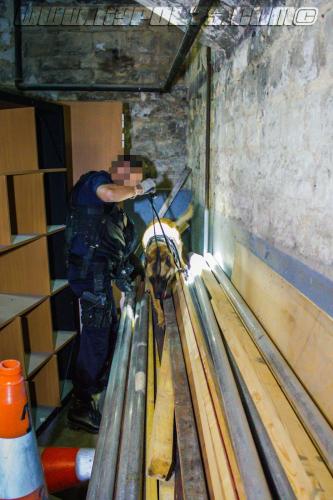 Zoe5-small-28062018-