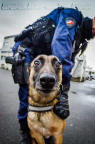 Zoe6-small-10032018-