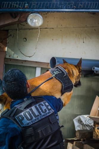 Zoe6-small-17052018-