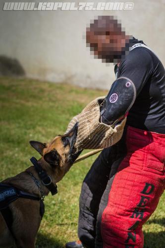 k9MP3-small-22062018-