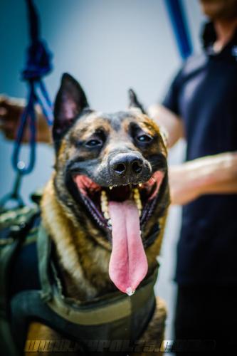 kalash1-BIG-17072018-