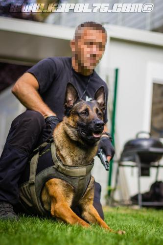 kalash11-BIG-17072018-