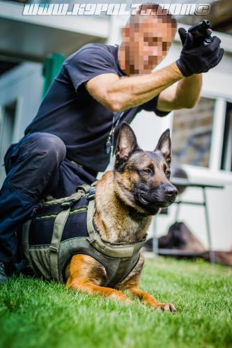 kalash12-BIG-17072018-