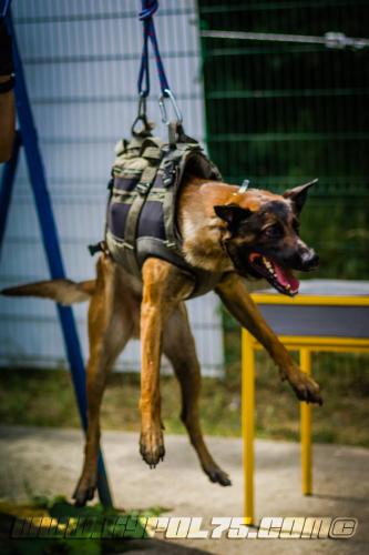 kalash13-BIG-17072018-