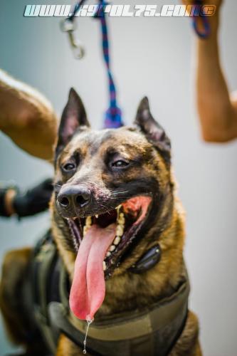 kalash2-BIG-17072018-