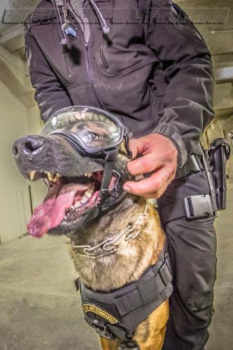 kalash2-small-31012018-