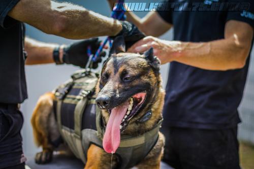 kalash3-BIG-17072018-