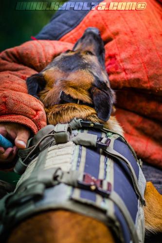 kalash4-BIG-17072018-