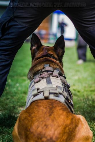 kalash5-BIG-17072018-