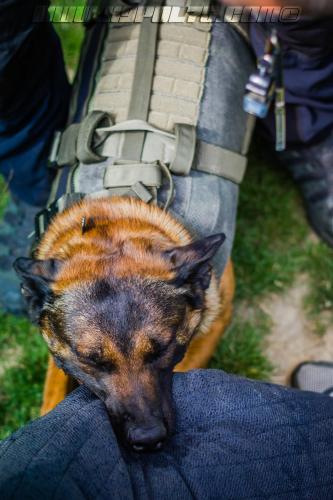 kalash6-BIG-17072018-