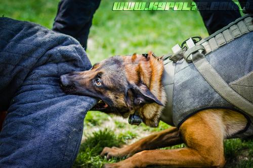 kalash7-BIG-17072018-