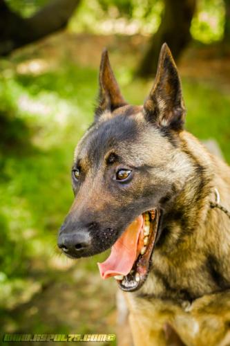 Alpha1-11062019-