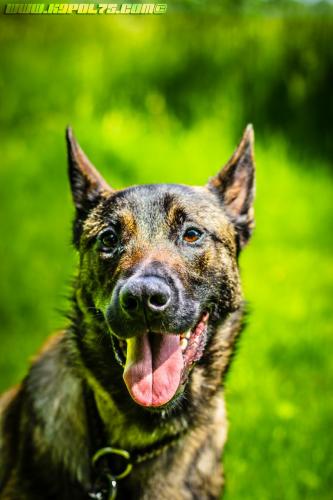 Alpha1-24052019-