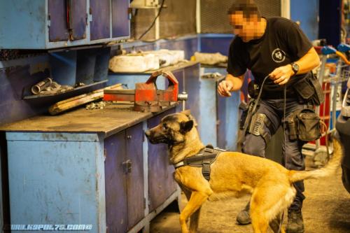 Alpha2-06062019-