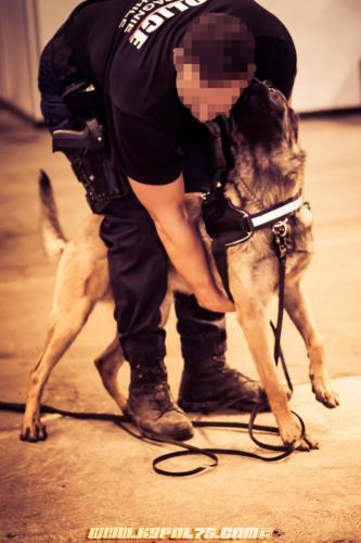 Alpha3-06062019-
