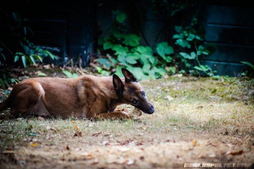 Djimathie1-01082019-