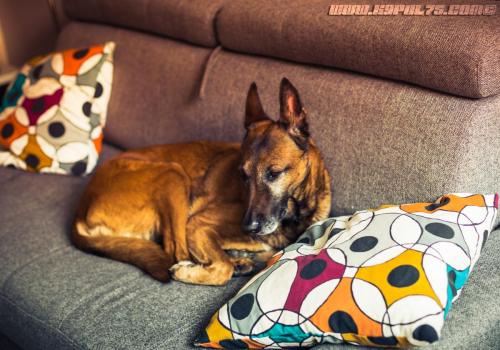 Djimathie1-14062019-