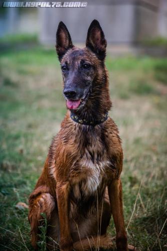 Djimathie1-27082019-